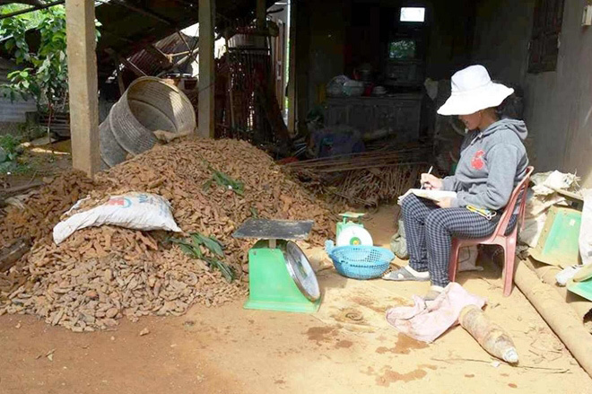thu mua phế liệu chiến tranh Kinh hãi với nghề mua bán 'thần chết'