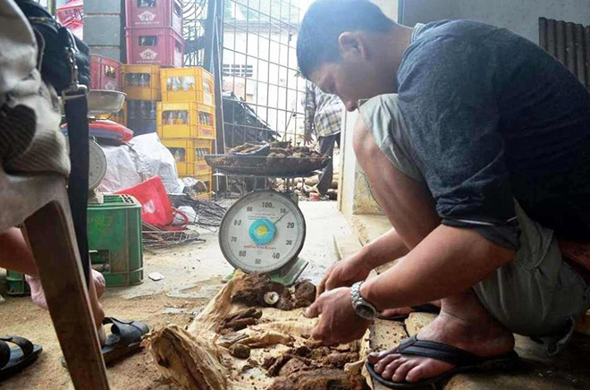 thu mua phế liệu chiến tranh Kinh hãi với nghề mua bán 'thần chết'