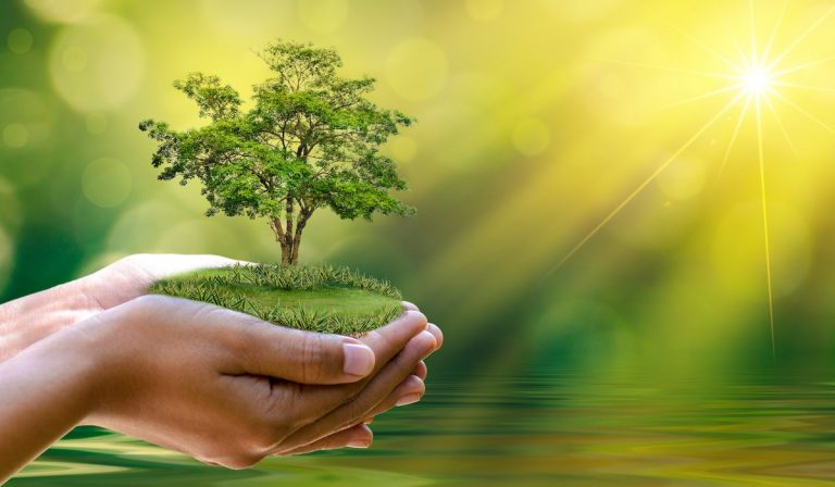 Bảo vệ môi trường thế giới NGÀY MÔI TRƯỜNG THẾ GIỚI LÀ GÌ?