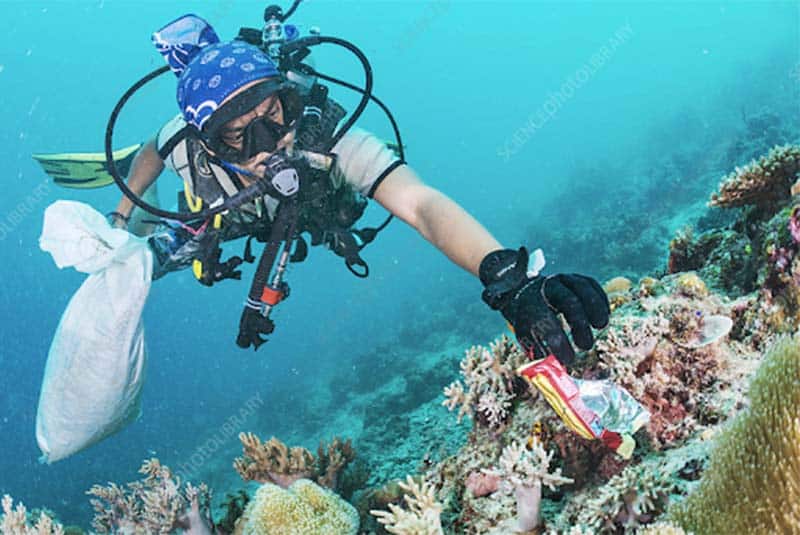 môi trường và cuộc sống Tác hại khôn lường của rác thải nhựa đối với môi trường và cuộc sống