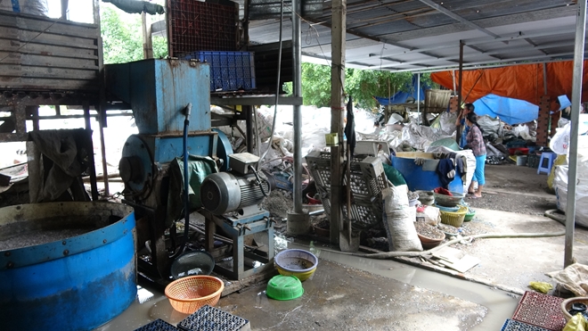 Xay nhựa phế liệu xả thải ra môi trường